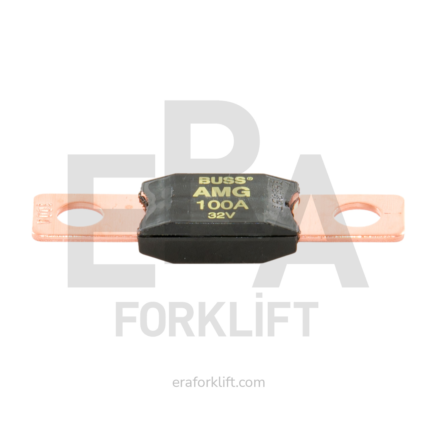 Hyster 1617618 - Fuse
